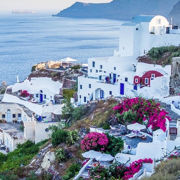 Meet your Posher, Dani! - Picture 4 of 4